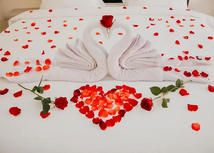 Hotel The Laviana 2*